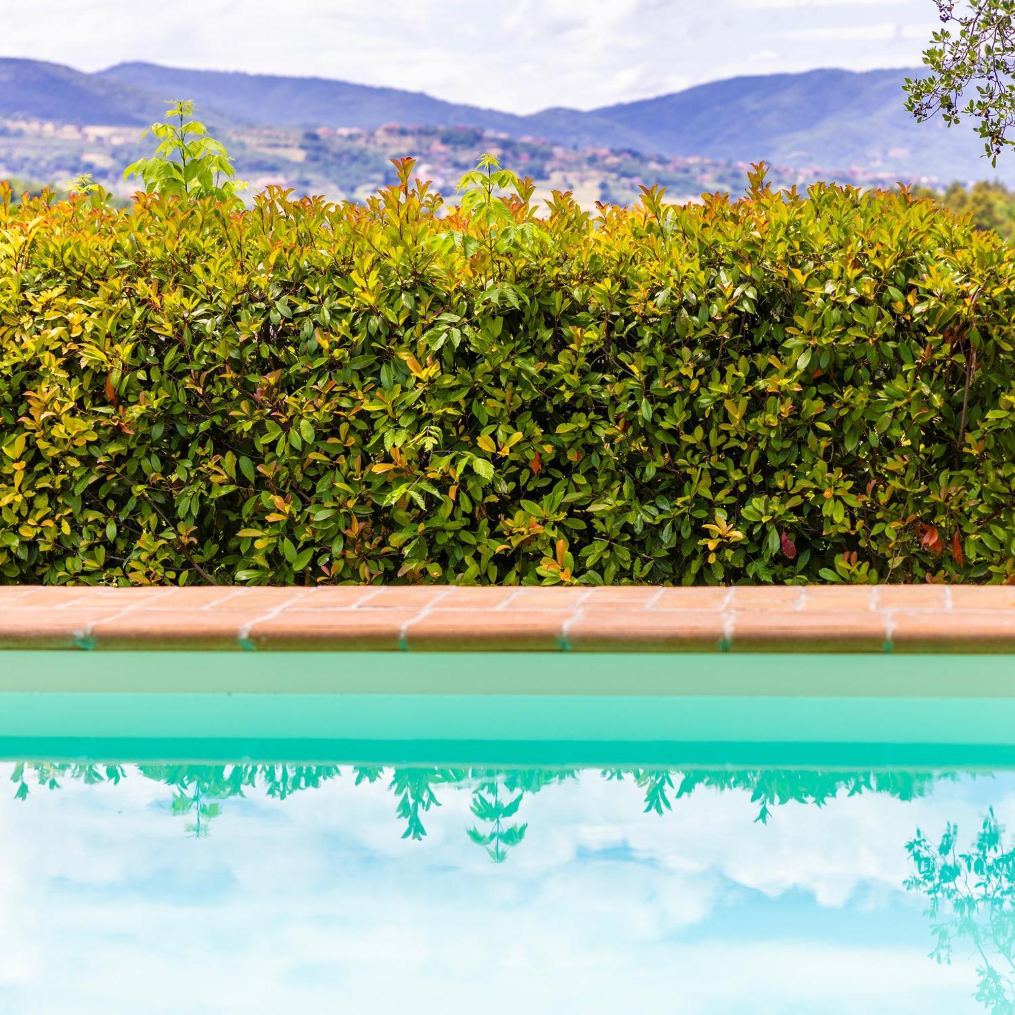 Un Petit Paradis Castiglione della Valle Extérieur photo