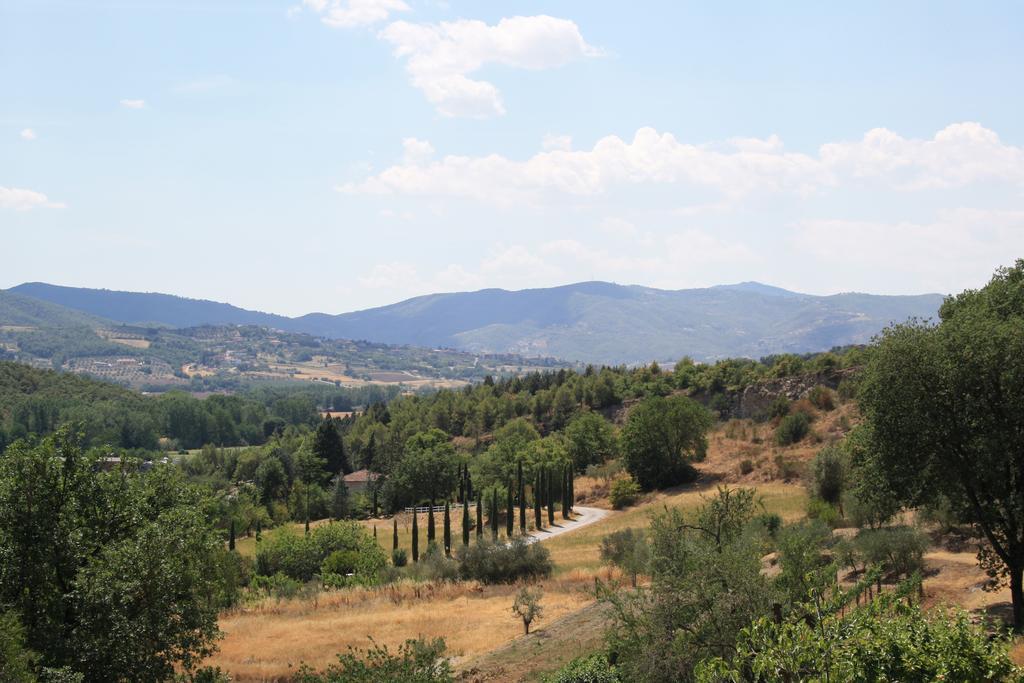 Un Petit Paradis Castiglione della Valle Extérieur photo